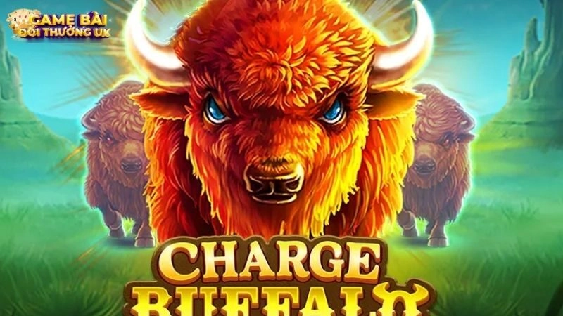Slot Charge Buffalo